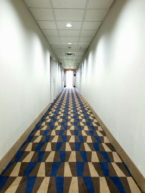 Microtel Inn & Suites by Wyndham London image 1